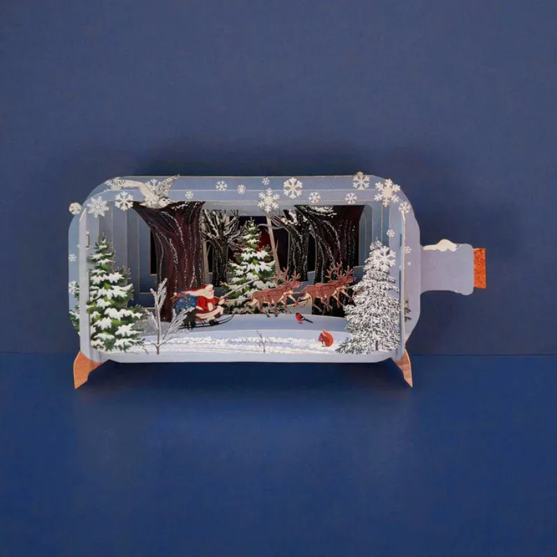 Wenskaart Message in a Bottle SANTA SLEIGH