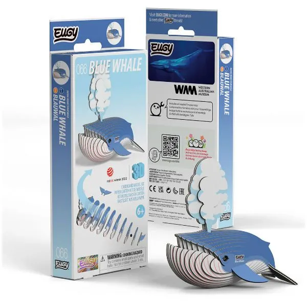 Eugy 3D cardboard model kit – Blauwe Walvis