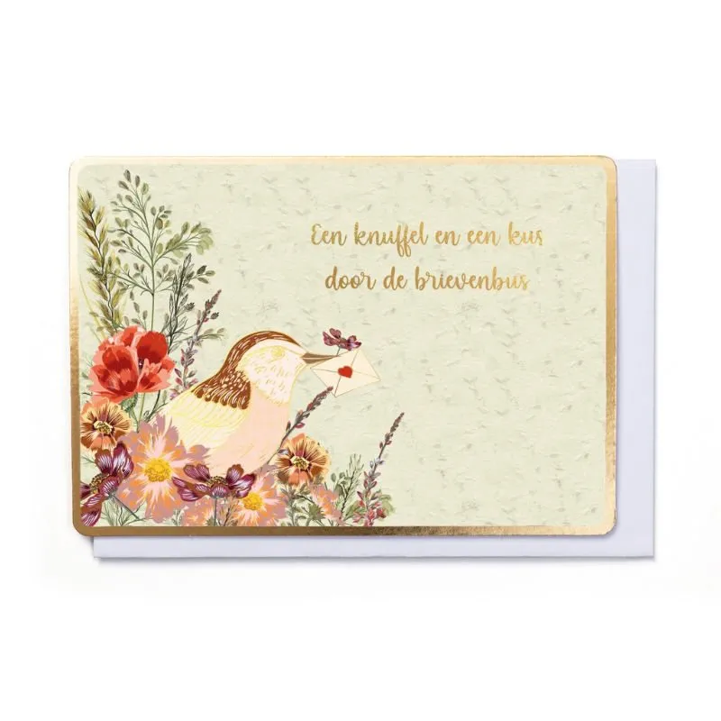 Wenskaart – Flowerbomb EEN KNUFFEL EN EEN KUS DOOR DE BRIEVENBUS